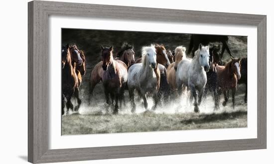 Renegades-Lisa Dearing-Framed Photographic Print