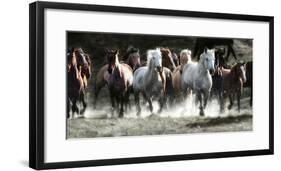 Renegades-Lisa Dearing-Framed Photographic Print