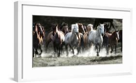 Renegades-Lisa Dearing-Framed Photographic Print