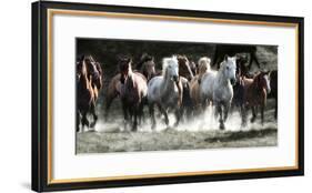 Renegades-Lisa Dearing-Framed Photographic Print