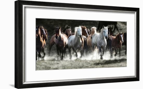 Renegades-Lisa Dearing-Framed Photographic Print