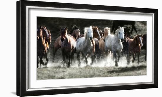 Renegades-Lisa Dearing-Framed Photographic Print