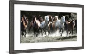 Renegades-Lisa Dearing-Framed Photographic Print