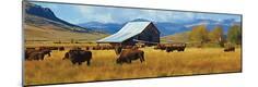 Premium Giclee Print