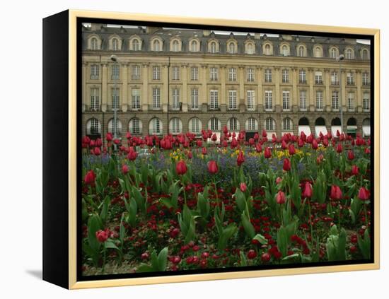 Rennes, Ille-et-Villaine, Brittany, France, Europe-David Hughes-Framed Premier Image Canvas