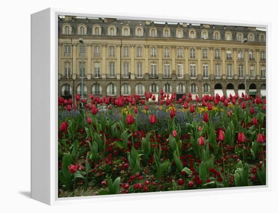 Rennes, Ille-et-Villaine, Brittany, France, Europe-David Hughes-Framed Premier Image Canvas