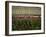 Rennes, Ille-et-Villaine, Brittany, France, Europe-David Hughes-Framed Photographic Print