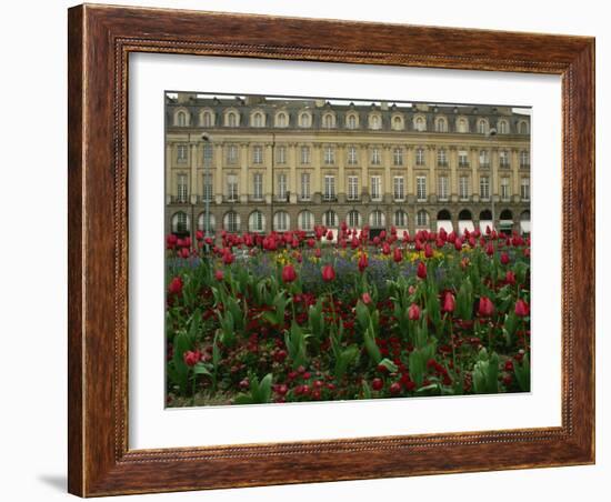 Rennes, Ille-et-Villaine, Brittany, France, Europe-David Hughes-Framed Photographic Print