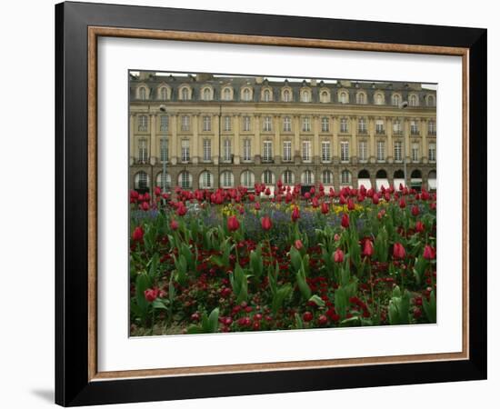 Rennes, Ille-et-Villaine, Brittany, France, Europe-David Hughes-Framed Photographic Print