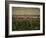 Rennes, Ille-et-Villaine, Brittany, France, Europe-David Hughes-Framed Photographic Print