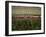 Rennes, Ille-et-Villaine, Brittany, France, Europe-David Hughes-Framed Photographic Print