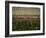 Rennes, Ille-et-Villaine, Brittany, France, Europe-David Hughes-Framed Photographic Print