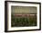 Rennes, Ille-et-Villaine, Brittany, France, Europe-David Hughes-Framed Photographic Print