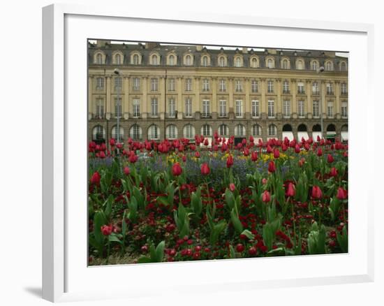 Rennes, Ille-et-Villaine, Brittany, France, Europe-David Hughes-Framed Photographic Print