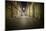 Rennes, La Rue Du Chapitre-Philippe Manguin-Mounted Photographic Print