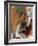 Renoir: Girls/Piano, 1892-Pierre-Auguste Renoir-Framed Giclee Print