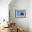 Renton Millar Competes at a Vertical International Skateboard Competition in Rio De Janeiro-null-Framed Photographic Print displayed on a wall