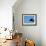 Renton Millar Competes at a Vertical International Skateboard Competition in Rio De Janeiro-null-Framed Photographic Print displayed on a wall