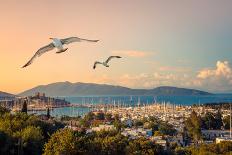 Yacht Sailing against Sunset. Holiday Lifestyle Landscape with Skyline Sailboat and Two Seagull. Ya-Repina Valeriya-Mounted Photographic Print