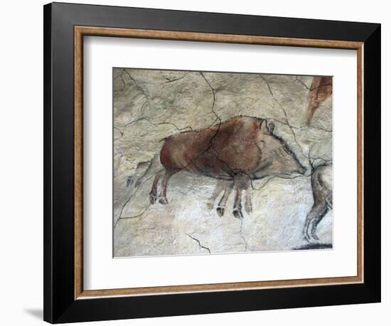 Replica of Cave Painting of Boar from Altamira Cave-null-Framed Giclee Print