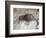 Replica of Cave Painting of Boar from Altamira Cave-null-Framed Giclee Print