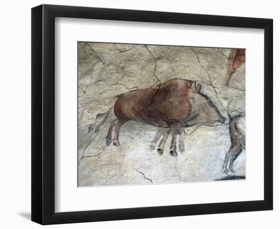 Replica of Cave Painting of Boar from Altamira Cave-null-Framed Giclee Print