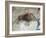 Replica of Cave Painting of Boar from Altamira Cave-null-Framed Giclee Print