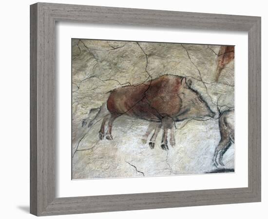 Replica of Cave Painting of Boar from Altamira Cave-null-Framed Giclee Print