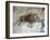 Replica of Cave Painting of Boar from Altamira Cave-null-Framed Giclee Print