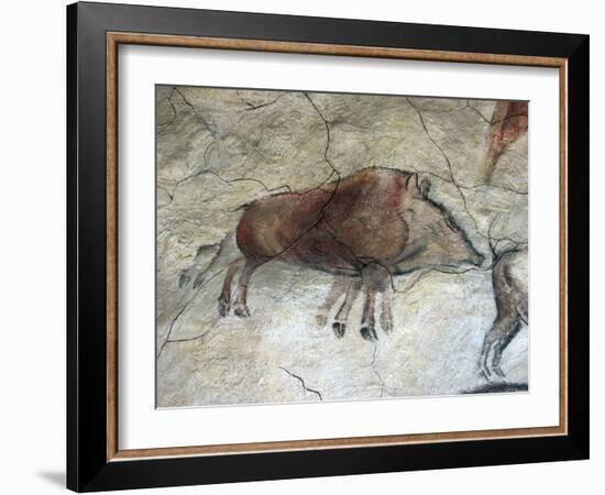 Replica of Cave Painting of Boar from Altamira Cave-null-Framed Giclee Print