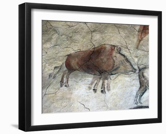 Replica of Cave Painting of Boar from Altamira Cave-null-Framed Giclee Print