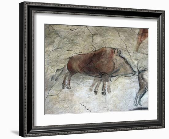 Replica of Cave Painting of Boar from Altamira Cave-null-Framed Giclee Print