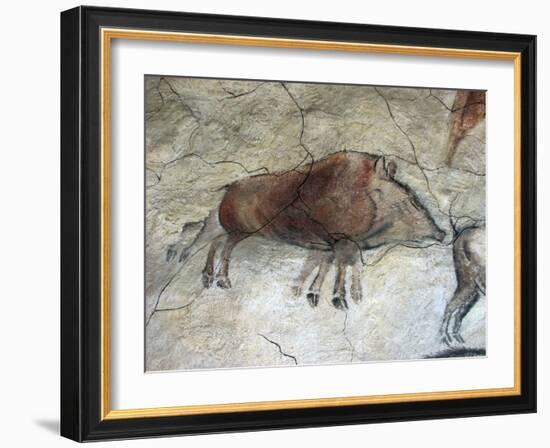 Replica of Cave Painting of Boar from Altamira Cave-null-Framed Giclee Print