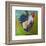 Report Card Rooster-null-Framed Art Print