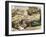 Reporting from the Normandy Landings-Pat Nicolle-Framed Giclee Print