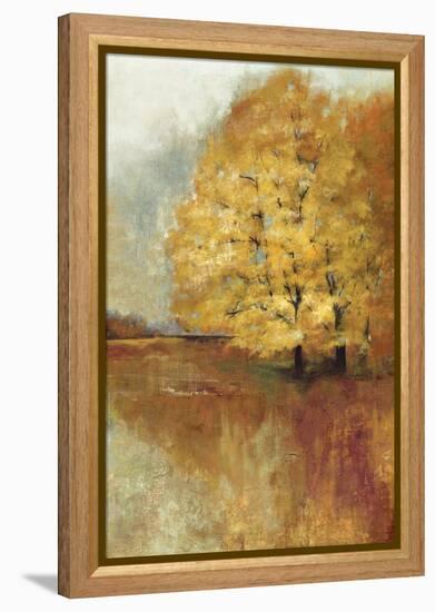 Repose Panel-Andrew Michaels-Framed Stretched Canvas