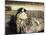 Repose-John Singer Sargent-Mounted Giclee Print