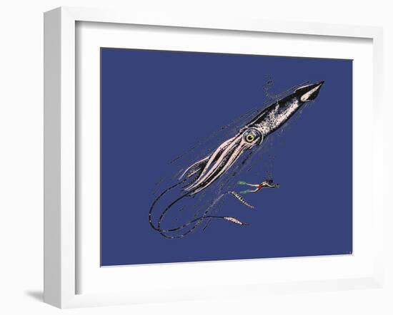 Representation of a Giant Squid (Architeuthys) on the Human Scale. 19Th Century-Unknown Artist-Framed Giclee Print