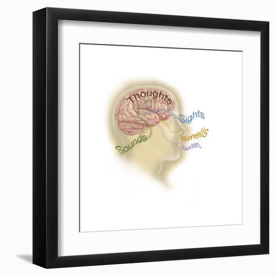 Art Print, , large