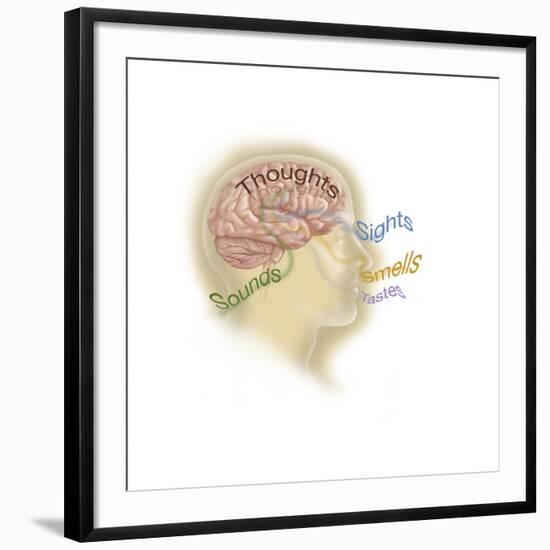 Art Print, , large