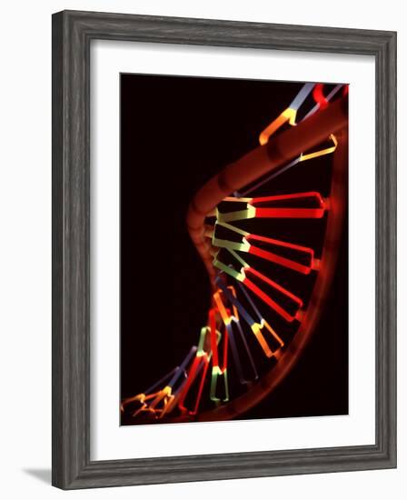 Representation of Segment of DNA Molecule Whose Order Spells Out Exact Set of Genetic Instructions-Fritz Goro-Framed Photographic Print