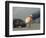 Representative of Kuwait Oil Company-Stephanie Mcgehee-Framed Photographic Print