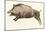 Reproduction of a Prehistoric Painting Found in the Spanish Cave of Altamira Depicting a Boar.-null-Mounted Giclee Print