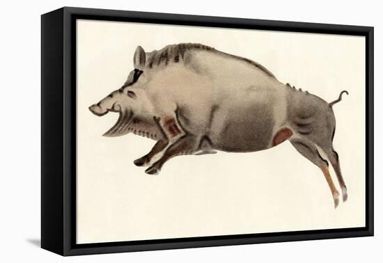 Reproduction of a Prehistoric Painting Found in the Spanish Cave of Altamira Depicting a Boar.-null-Framed Premier Image Canvas