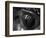 Reptile Eye-Henry Horenstein-Framed Photographic Print