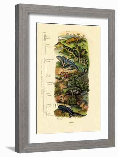 Reptiles, 1833-39-null-Framed Giclee Print