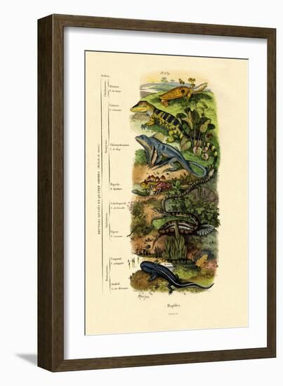 Reptiles, 1833-39-null-Framed Giclee Print