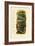 Reptiles, 1833-39-null-Framed Giclee Print