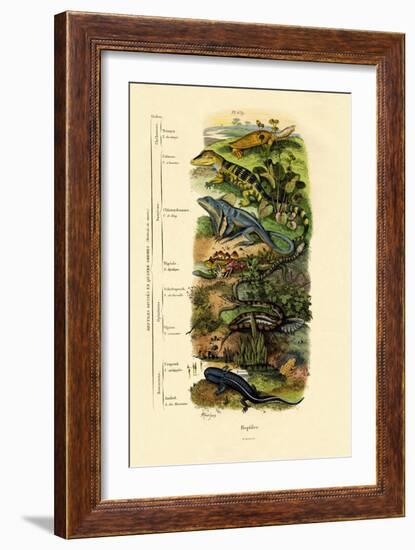 Reptiles, 1833-39-null-Framed Giclee Print