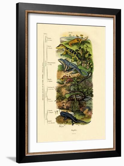 Reptiles, 1833-39-null-Framed Giclee Print